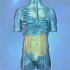 Functional Food