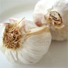 Knoblauch